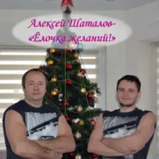 Обложка: Алексей Шаталов – Ёлочка желаний