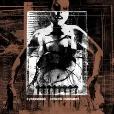 Обложка: Synapscape - Surface