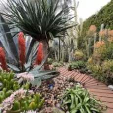 Обложка: Echo Gardens - Den nich