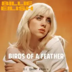 Обложка: Billie Eilish - Birds Of A Feather