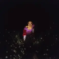 Обложка: Smerz - The Favourite