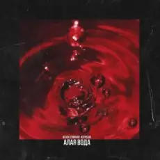 Обложка: Blvck Cvrnvge - Requiem