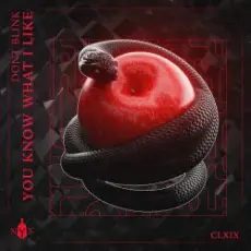 Обложка: Dont Blink - YOU KNOW WHAT I LIKE