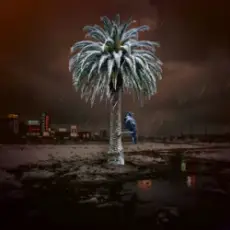 Обложка: TATOKATUSI - HOBOPI4HI T.