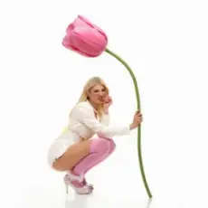 Обложка: ULIANA ROYCE - Тюльпани