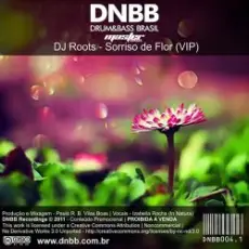 Обложка: DJ Roots - Sorriso De Flor