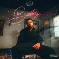 Обложка: 2ZDinizz & Leborato & HHR - Beatriz