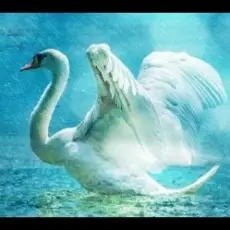 Обложка: Lacross - Save Me (Swan Lake)