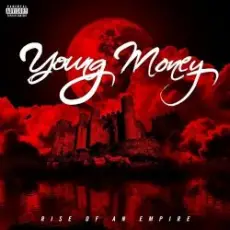 Обложка: Young Money feat. Euro, Birdman & Lil Wayne - We Alright