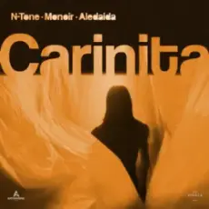 Обложка: N-Tone & Monoir & Aledaida – Carinita
