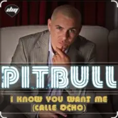 Обложка: Pitbull - I Know You Want Me