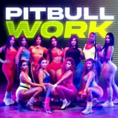 Обложка: Pitbull - Work