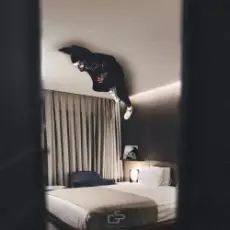 Обложка: A.V.G - Ты мой сон