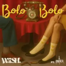 Обложка: W.i.S.H & Panther - Bolo Bolo