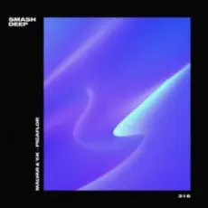 Обложка: MalYar & Y_K - Picaflo