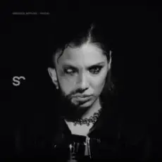 Обложка: Errortica & Reptiloid - Psycho