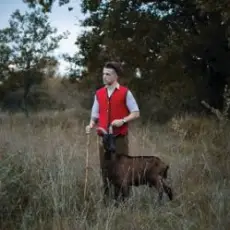 Обложка: Baby Lasagna - Rim Tim Tagi Dim