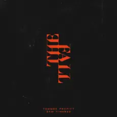 Обложка: Tommee Profitt & Sam Tinnesz - Daylight