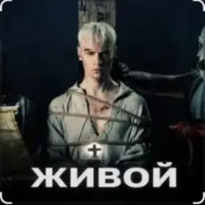 Обложка: Shaman - Живой