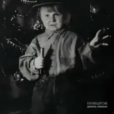 Обложка: Паліндром - Дивна любов