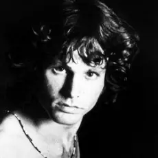 Обложка: The Doors - Waiting for the sun