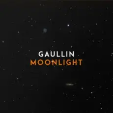 Обложка: Gaullin - Moonlight