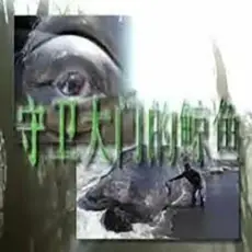 Обложка: Yabujin - CHALICE OF MIND