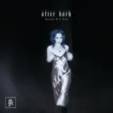 Обложка: Rameses B & Veela - after dark