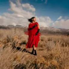 Обложка: GRACEY - Gimmicks