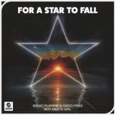 Обложка: Bingo Players & Disco Fries & Boy Meets Girl - For A Star To Fall