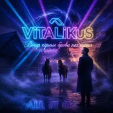 Обложка: ViTaLiKuS - Вечер чёрные брови нахмурил…