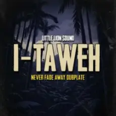 Обложка: I-Taweh & Little Lion Sound - Never Fade Away Dubplate