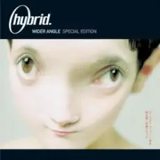 Обложка: Hybrid - Make A Move