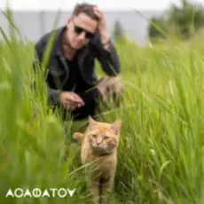 Обложка: АСАФАТОV - Нулі