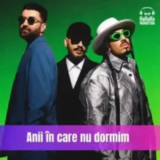 Обложка: Smiley & Alex Velea & Connect-R. - Anii in care nu dormim (Speak Remix)