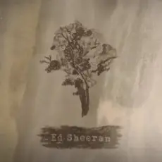 Обложка: Ed Sheeran - Bloodstream