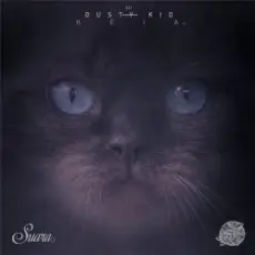 Обложка: Dusty Kid - Feelers (Original Mix)