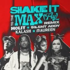 Обложка: MOLIY & Silent Addy - Shake It To The Max (FLY) [Kalash & Maureen Remix]