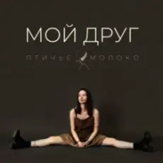 Обложка: Птичье Молоко - Мой друг