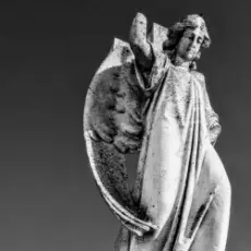 Обложка: Беловодье - Не догнать