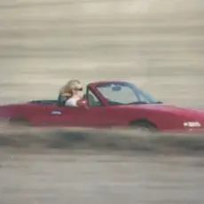 Обложка: TRFN - Paradise