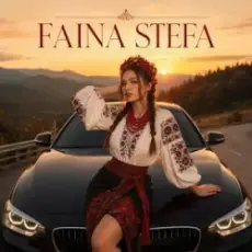 Обложка: Faina Stefa - Крути мене у тачці!