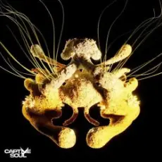 Обложка: Korolova & Julia Sanina - Higher Calling