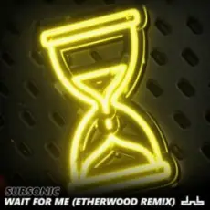 Обложка: Subsonic - Wait For Me (Etherwood Remix)