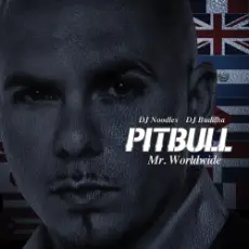 Обложка: Pitbull - Sexy Bitch