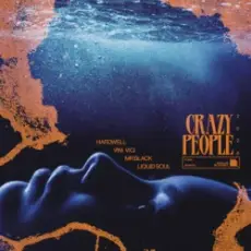Обложка: Hardwell & Vini Vici & MR.BLACK & Liquid Soul - Crazy People 2026