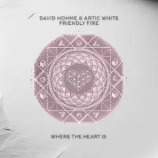 Обложка: David Hohme & Artic White - Friendly Fire