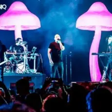 Обложка: Infected Mushroom - Mixed by G Light live mix from Exotica Gold