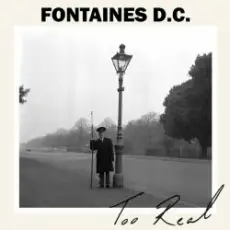 Обложка: Fontaines D.C - Before You I Just Forget