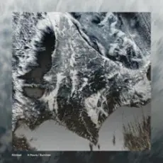 Обложка: Klinical - Survivor